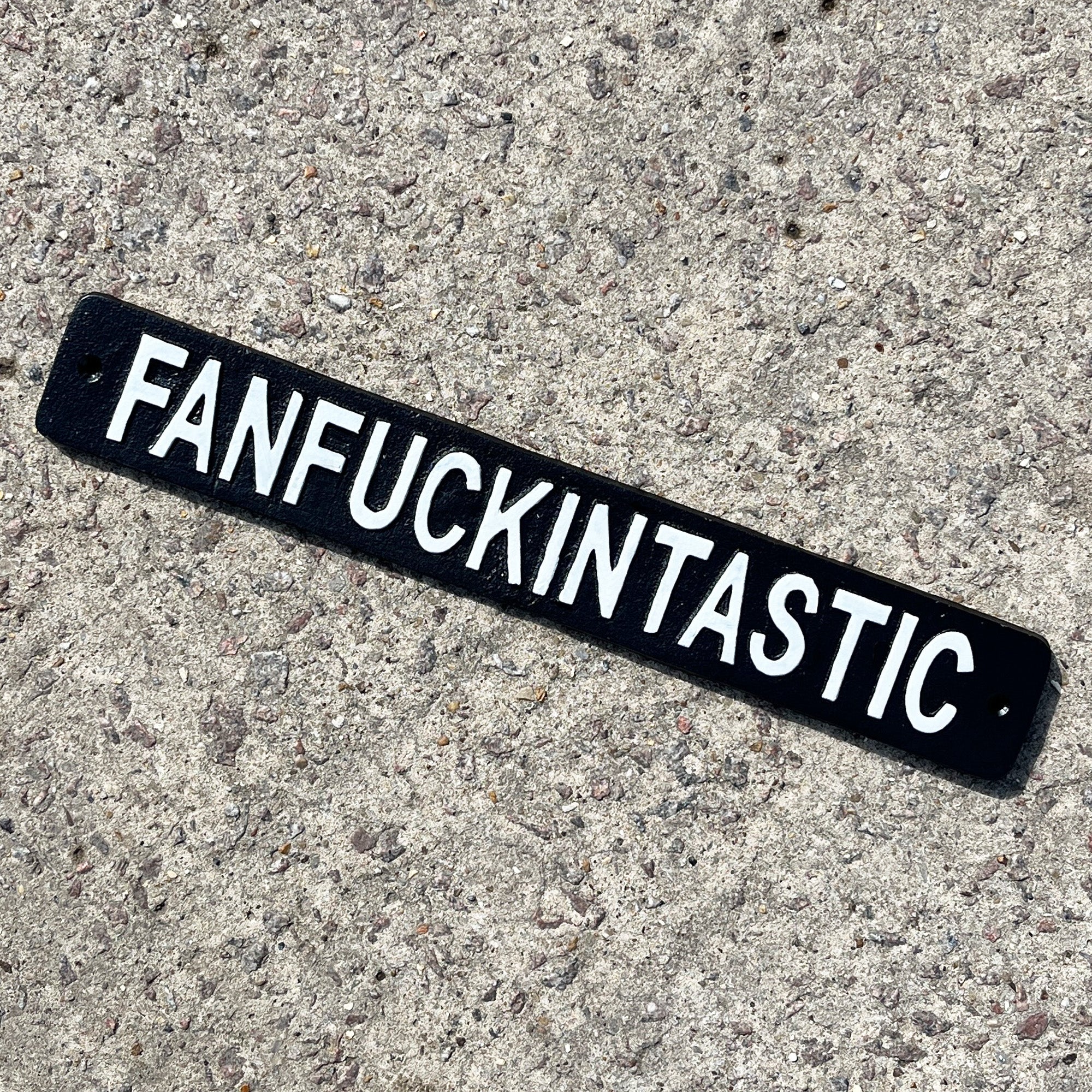 41.5cm Cast Iron 'Fanfuckintastic' Wall Sign / Plaque