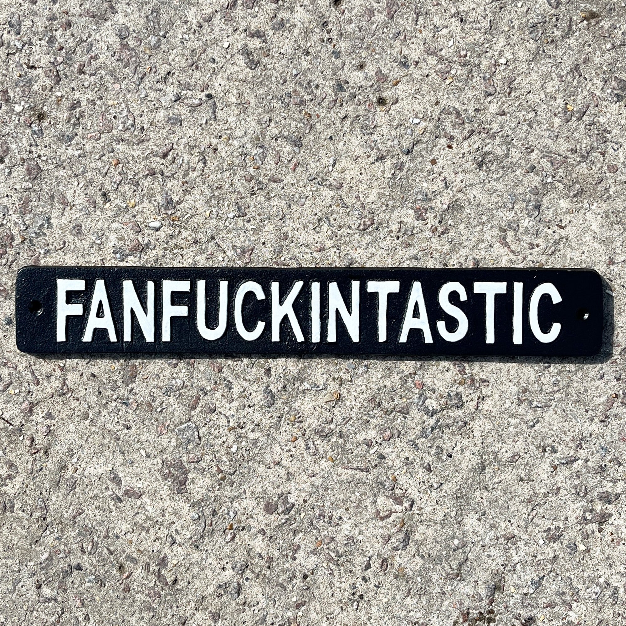 41.5cm Cast Iron 'Fanfuckintastic' Wall Sign / Plaque
