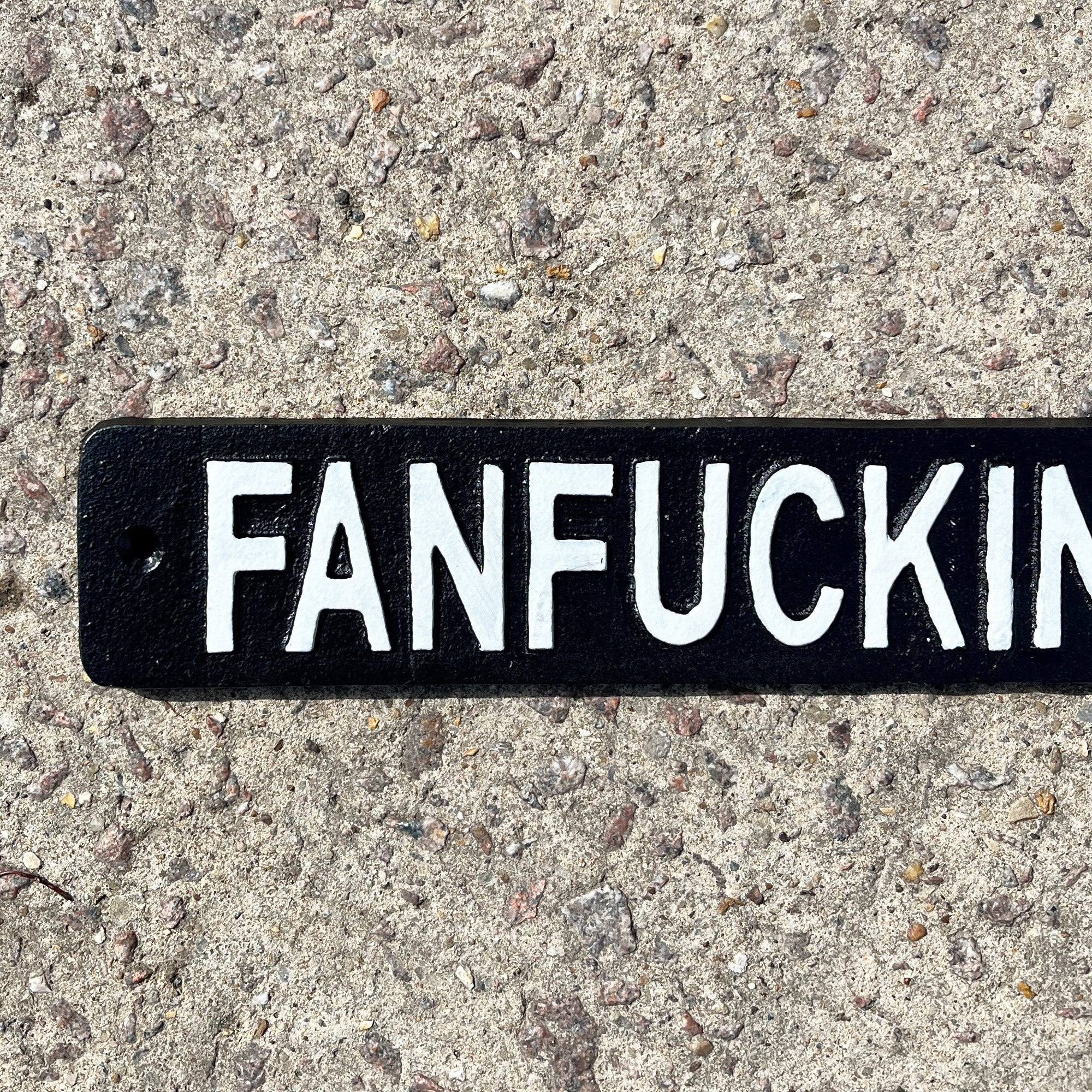 41.5cm Cast Iron 'Fanfuckintastic' Wall Sign / Plaque