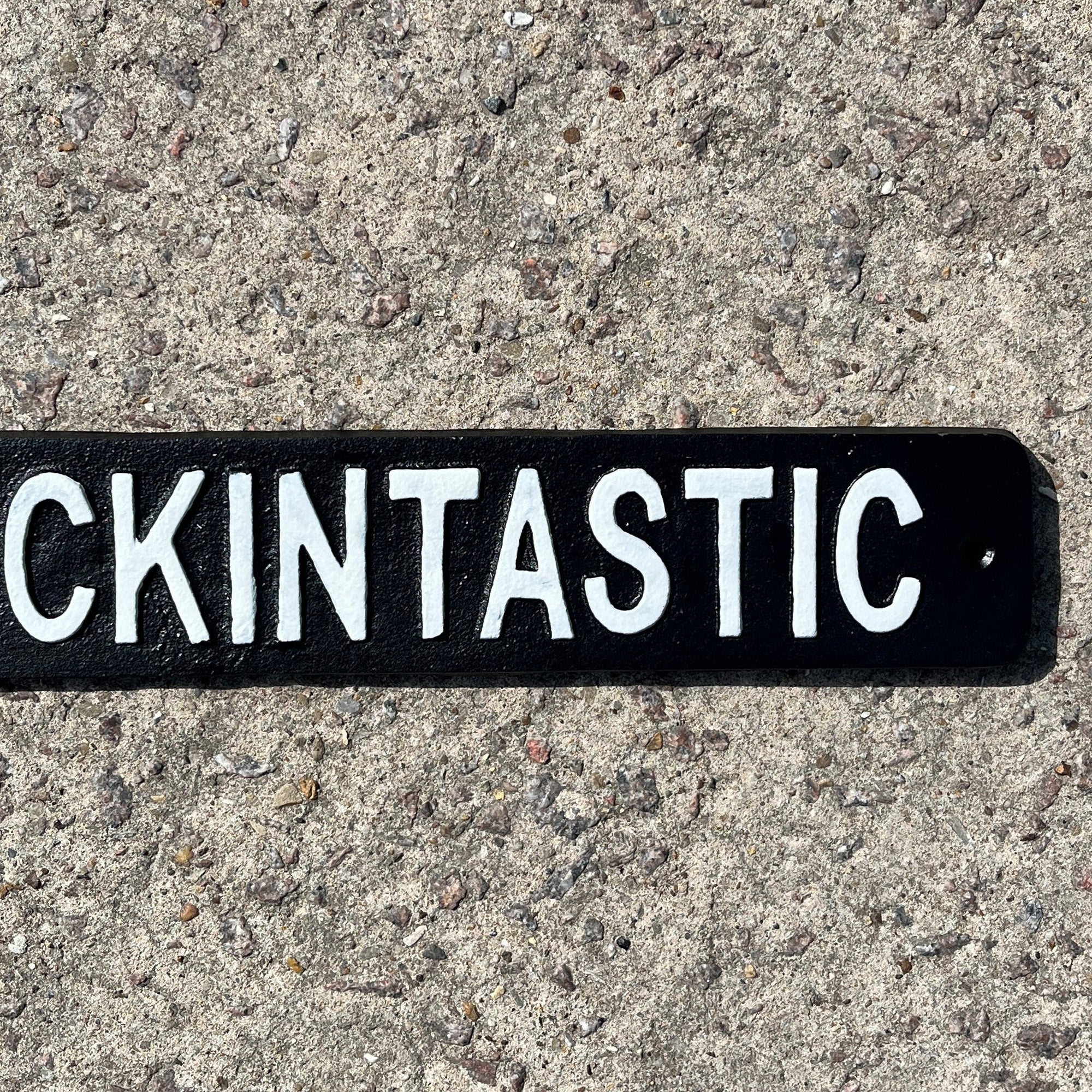 41.5cm Cast Iron 'Fanfuckintastic' Wall Sign / Plaque