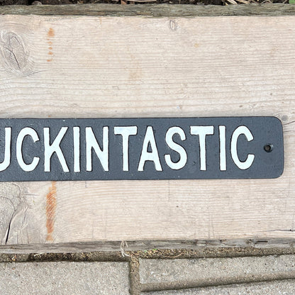 41.5cm Cast Iron 'Fanfuckintastic' Wall Sign / Plaque