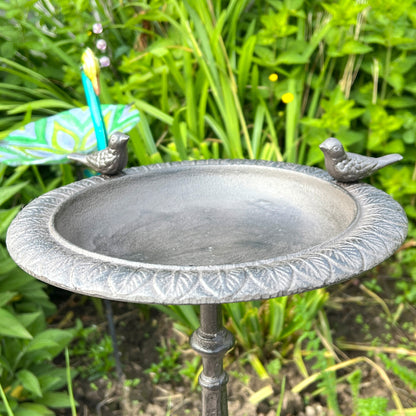 50cm Pedestal Bird Bath - Cast Iron