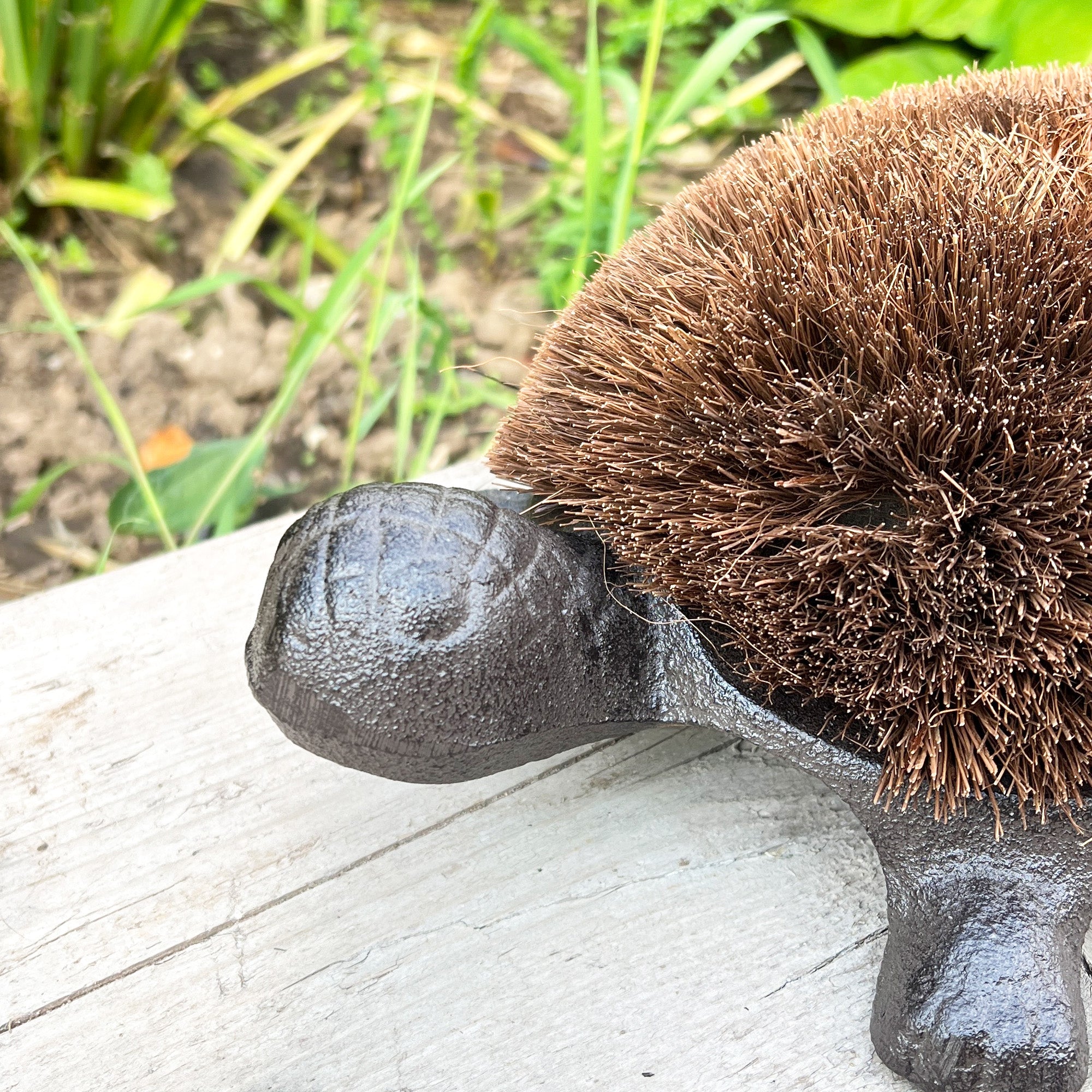 Tortoise Boot Scraper – Cast Iron