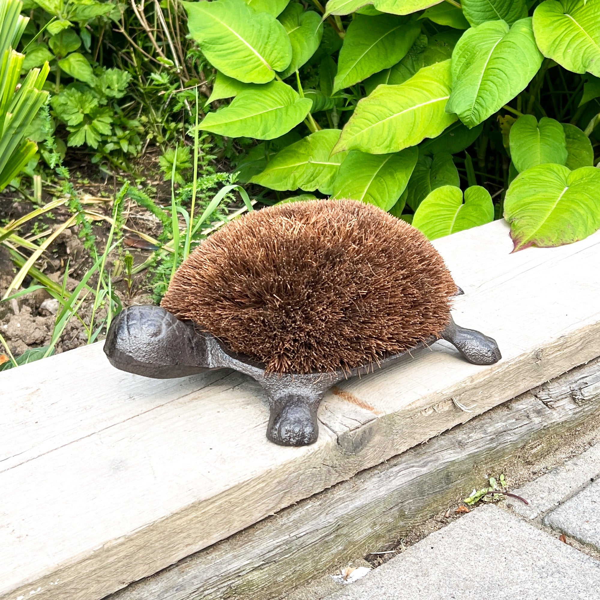 Tortoise Boot Scraper – Cast Iron