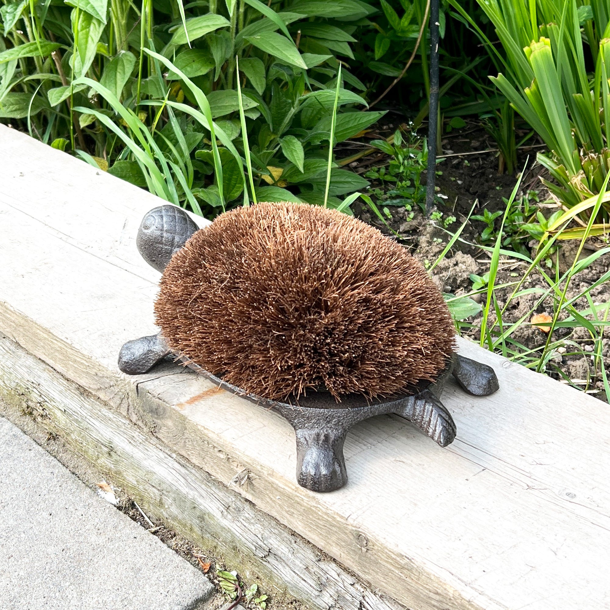 Tortoise Boot Scraper – Cast Iron