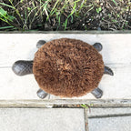 Tortoise Boot Scraper – Cast Iron