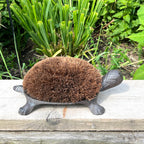 Tortoise Boot Scraper – Cast Iron