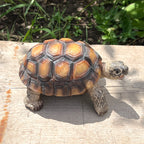 Tortoise Garden Ornament - Resin