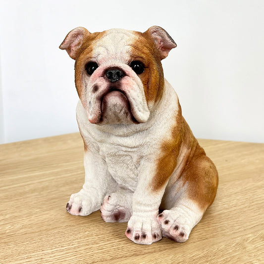 19.5cm Sitting British Bulldog Ornament - Resin