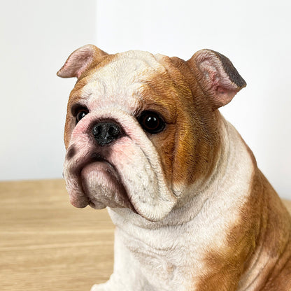 19.5cm Sitting British Bulldog Ornament - Resin