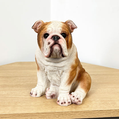 19.5cm Sitting British Bulldog Ornament - Resin