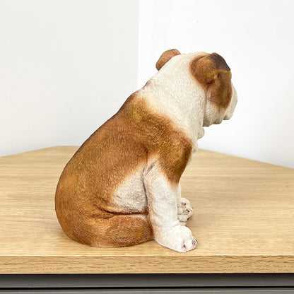 19.5cm Sitting British Bulldog Ornament - Resin