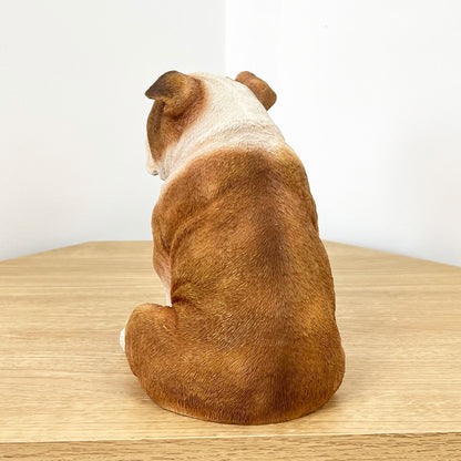 19.5cm Sitting British Bulldog Ornament - Resin