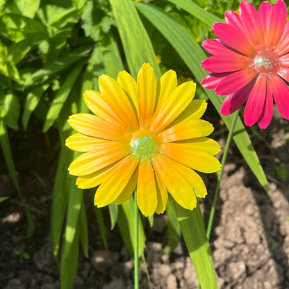 Set of 6 Metal Daisy Stake Flowers Garden Decorations