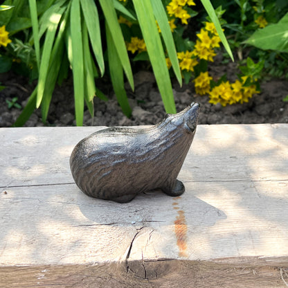 Hedgehog Garden Ornament - Cast Iron