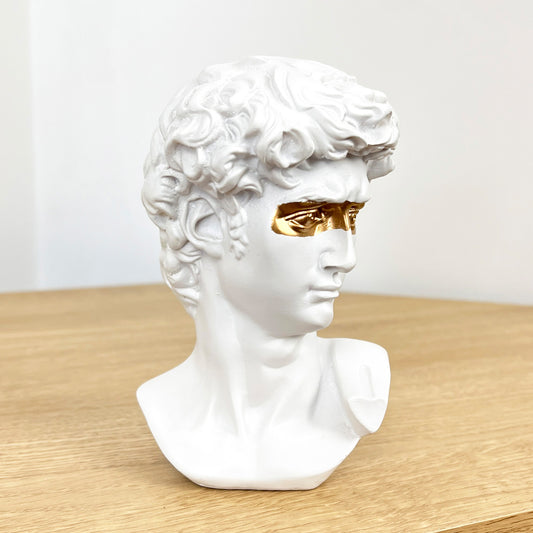 14cm Miniature Statue of David Bust – Resin