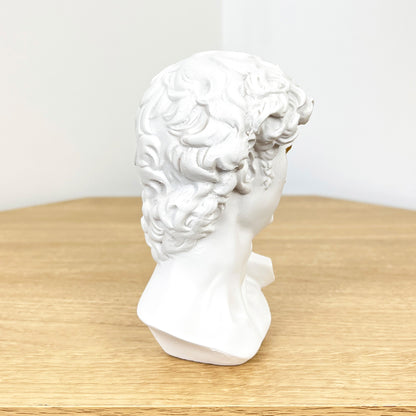 14cm Miniature Statue of David Bust – Resin