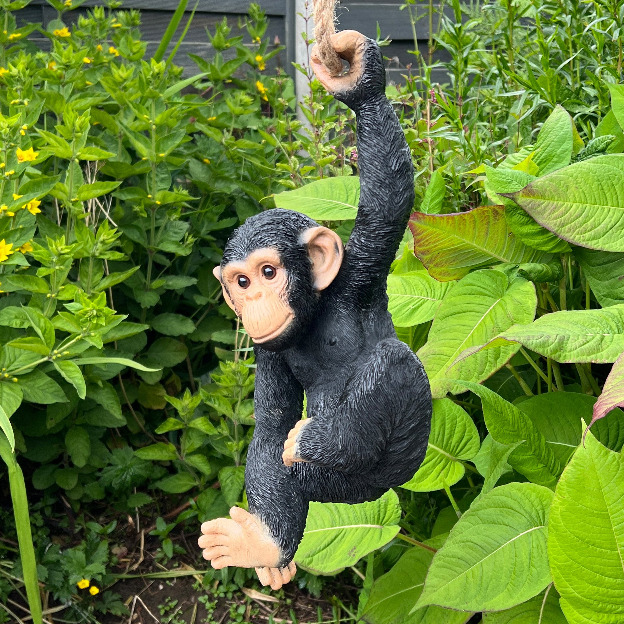 Hanging Monkey Ornament - Resin