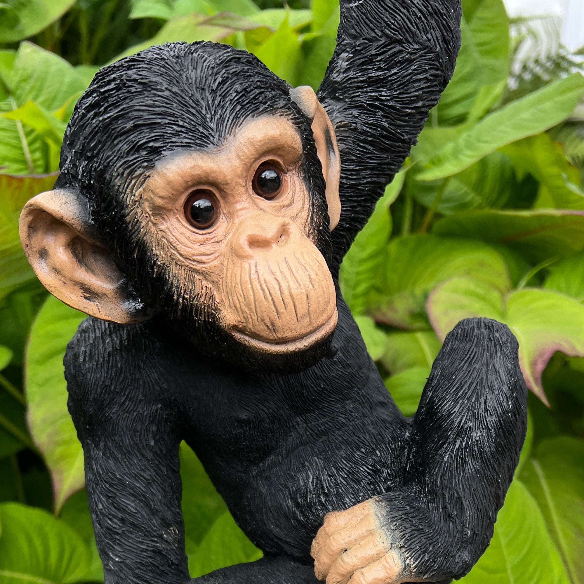 Hanging Monkey Ornament - Resin