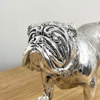 27.5cm Silver Bulldog Ornament - Resin