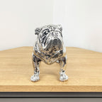 27.5cm Silver Bulldog Ornament - Resin