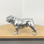 27.5cm Silver Bulldog Ornament - Resin
