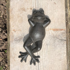 Sunbathing Frog Garden Ornament - Cast Iron