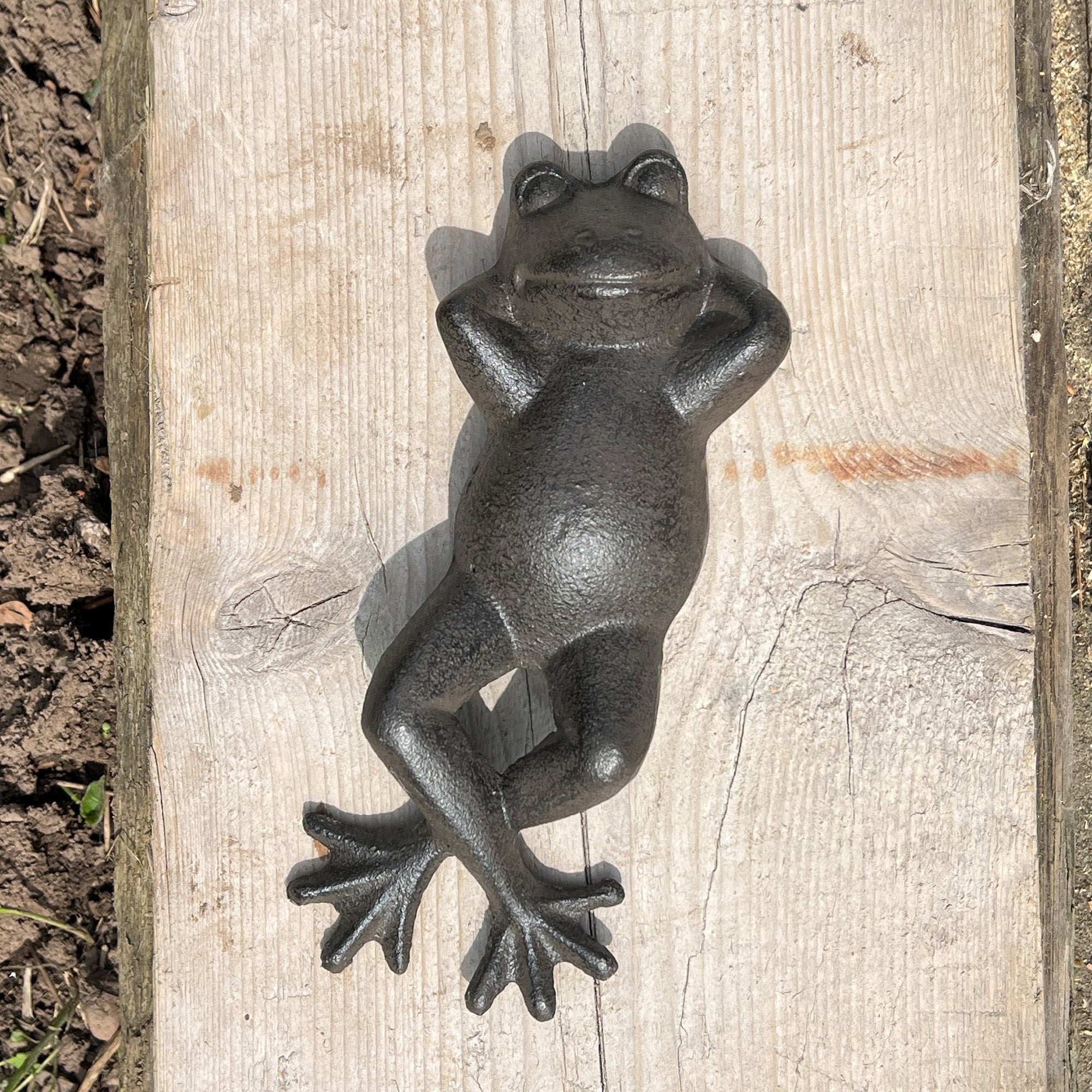 Sunbathing Frog Garden Ornament - Cast Iron