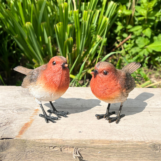 Set of 2 Robin Ornaments - Resin