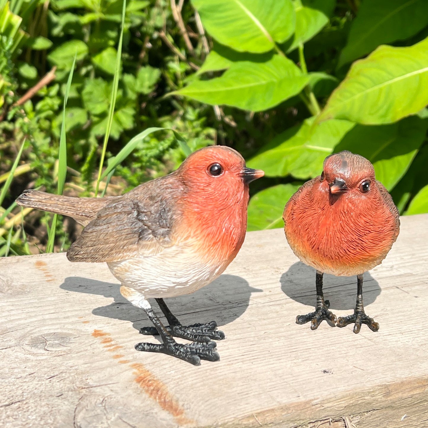 Set of 2 Robin Ornaments - Resin