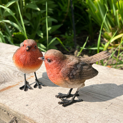 Set of 2 Robin Ornaments - Resin