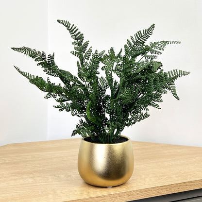 Fern Artificial Plant in Gold Pot