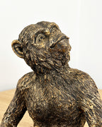 MonkeyWineBottleHolder-HeadCloseUp