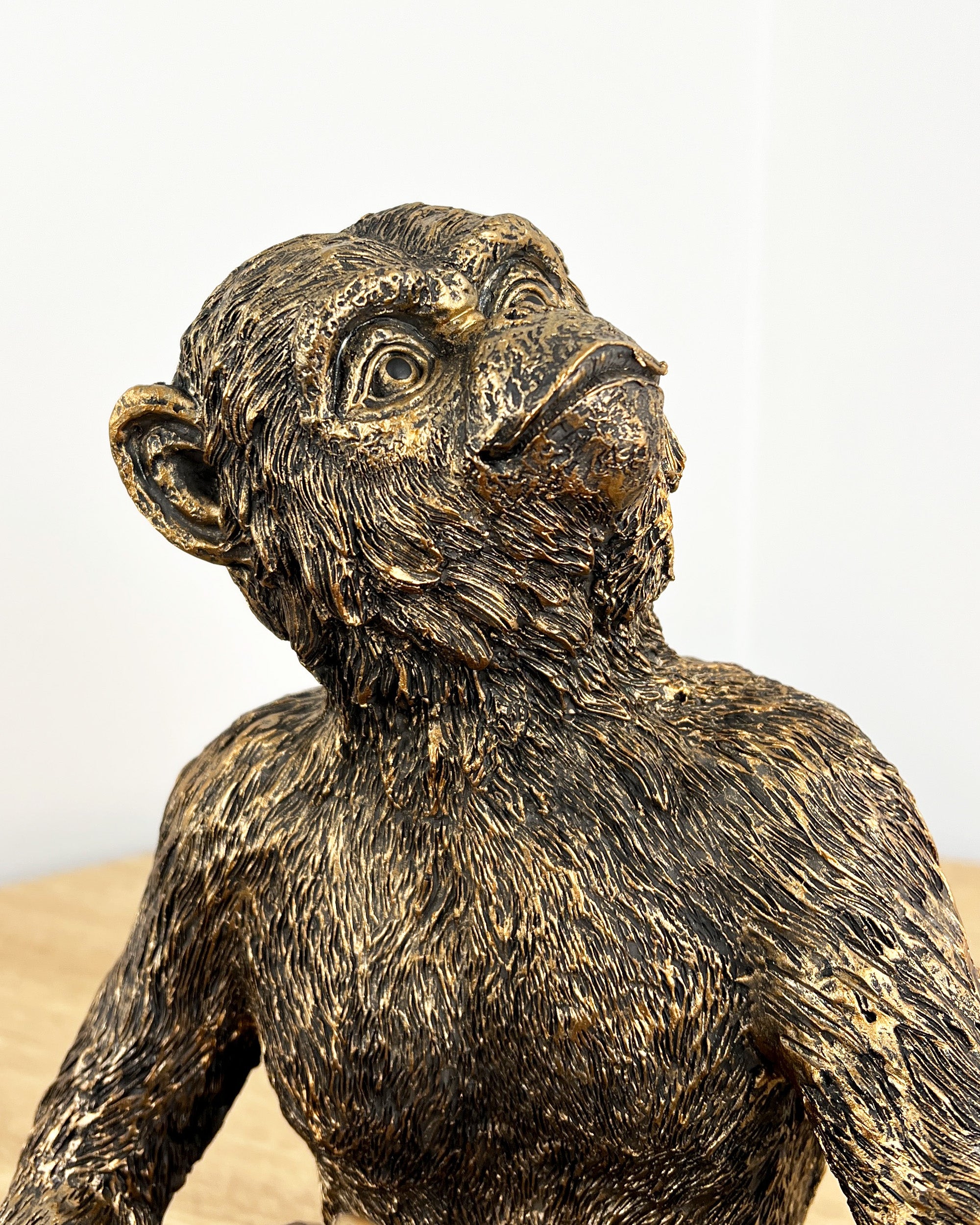 MonkeyWineBottleHolder-HeadCloseUp