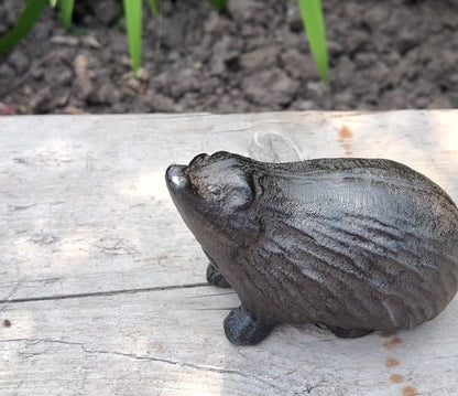 Hedgehog Garden Ornament - Cast Iron