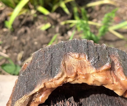 Hedgehogs in Log Ornament - Resin