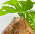 32cm Tall Oval Wooden Vase