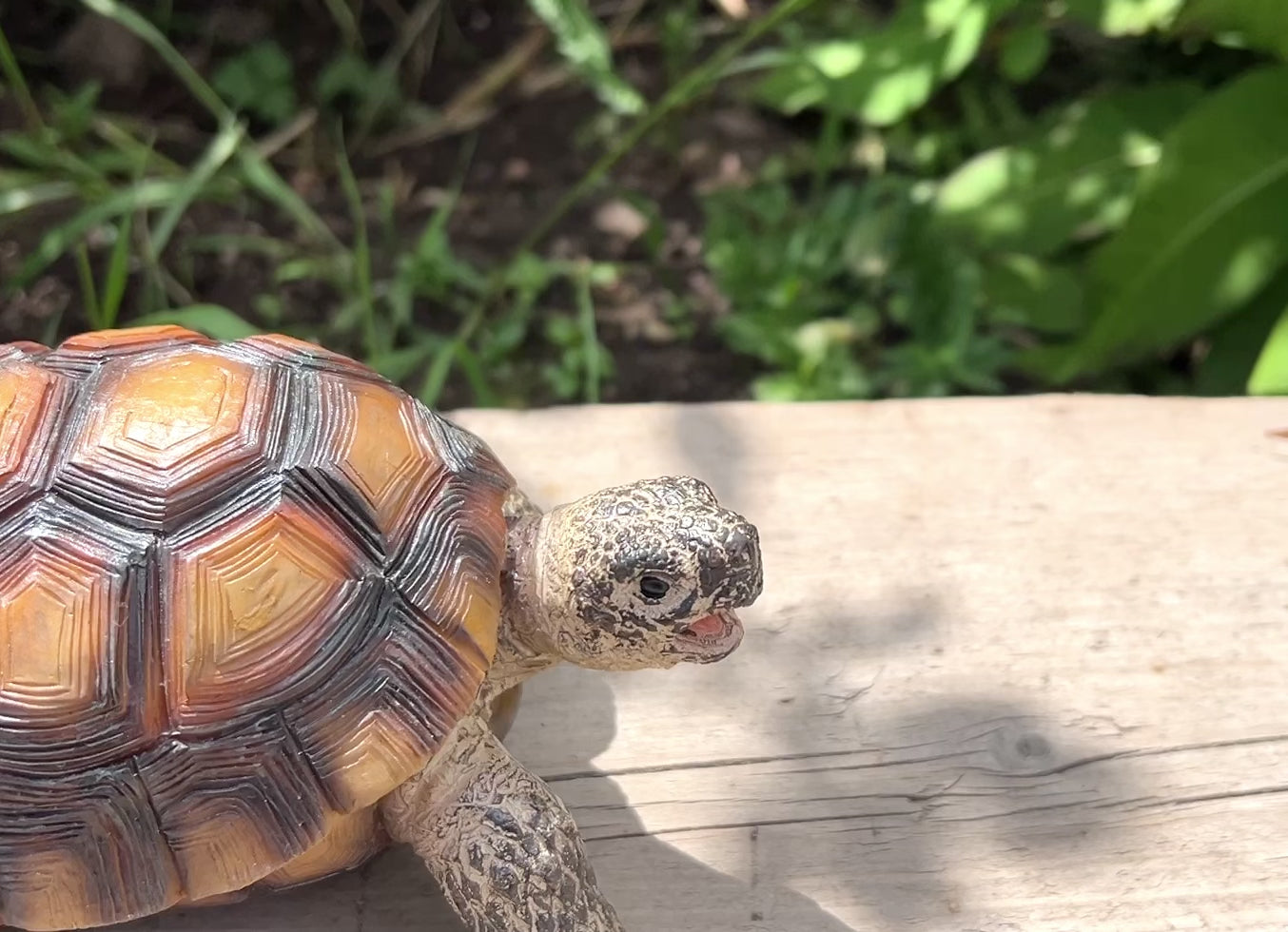 Tortoise Garden Ornament - Resin