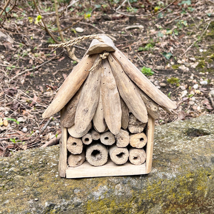 Driftwood Insect Hotel