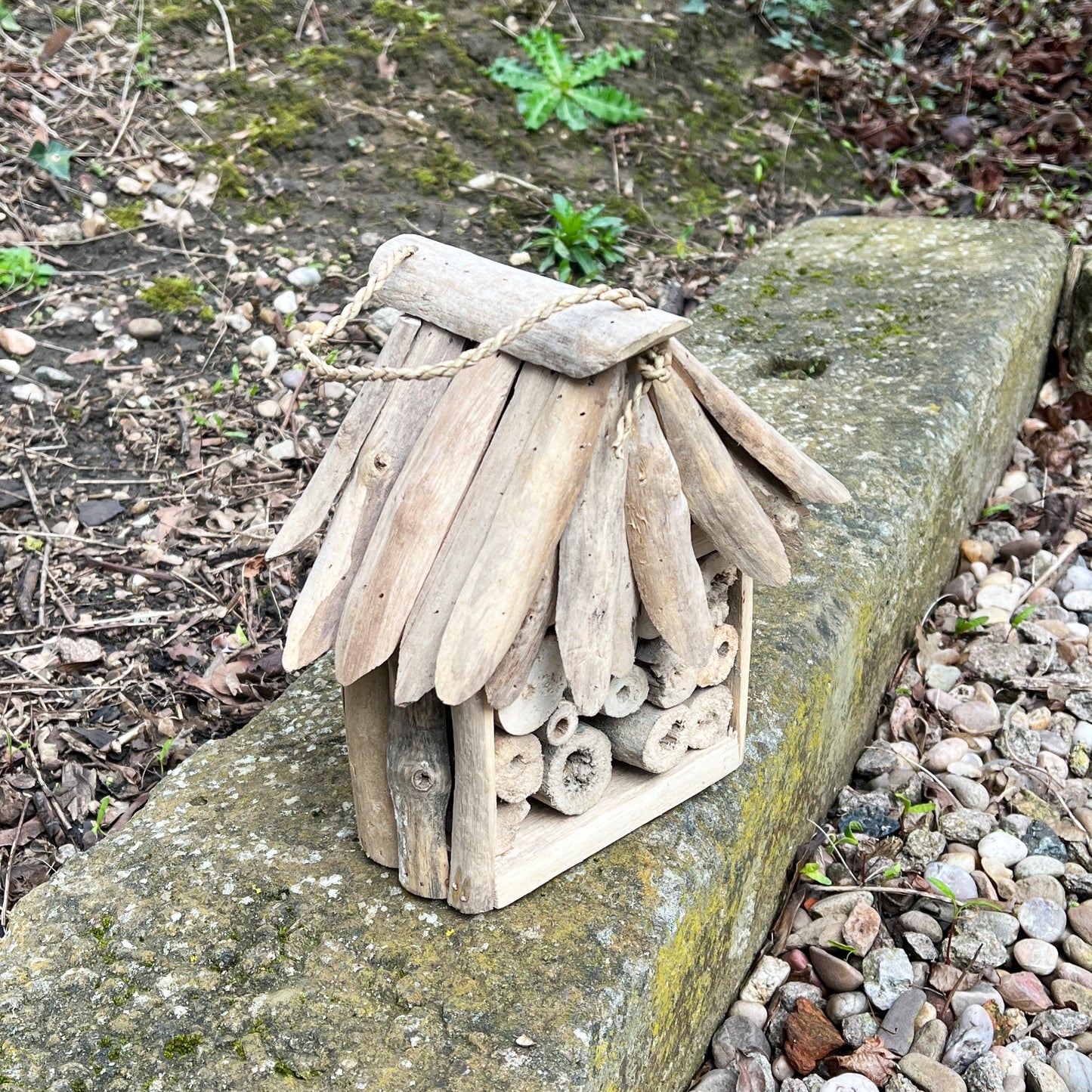 Driftwood Insect Hotel