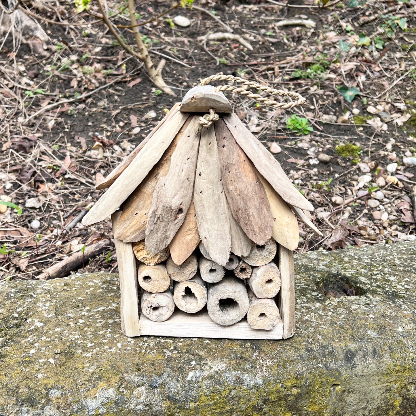 Driftwood Insect Hotel