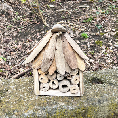 Driftwood Insect Hotel