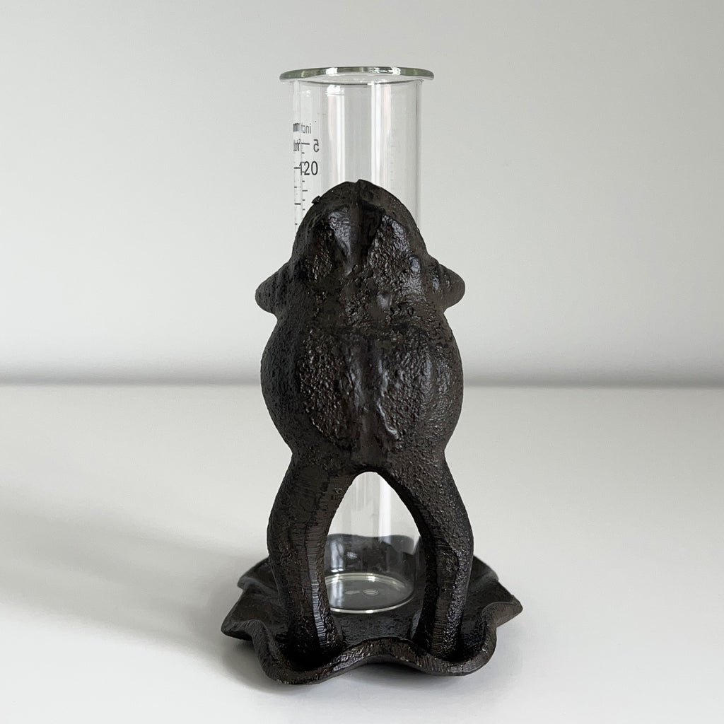 Frog on Lily Pad Rain Gauge - Cast Iron