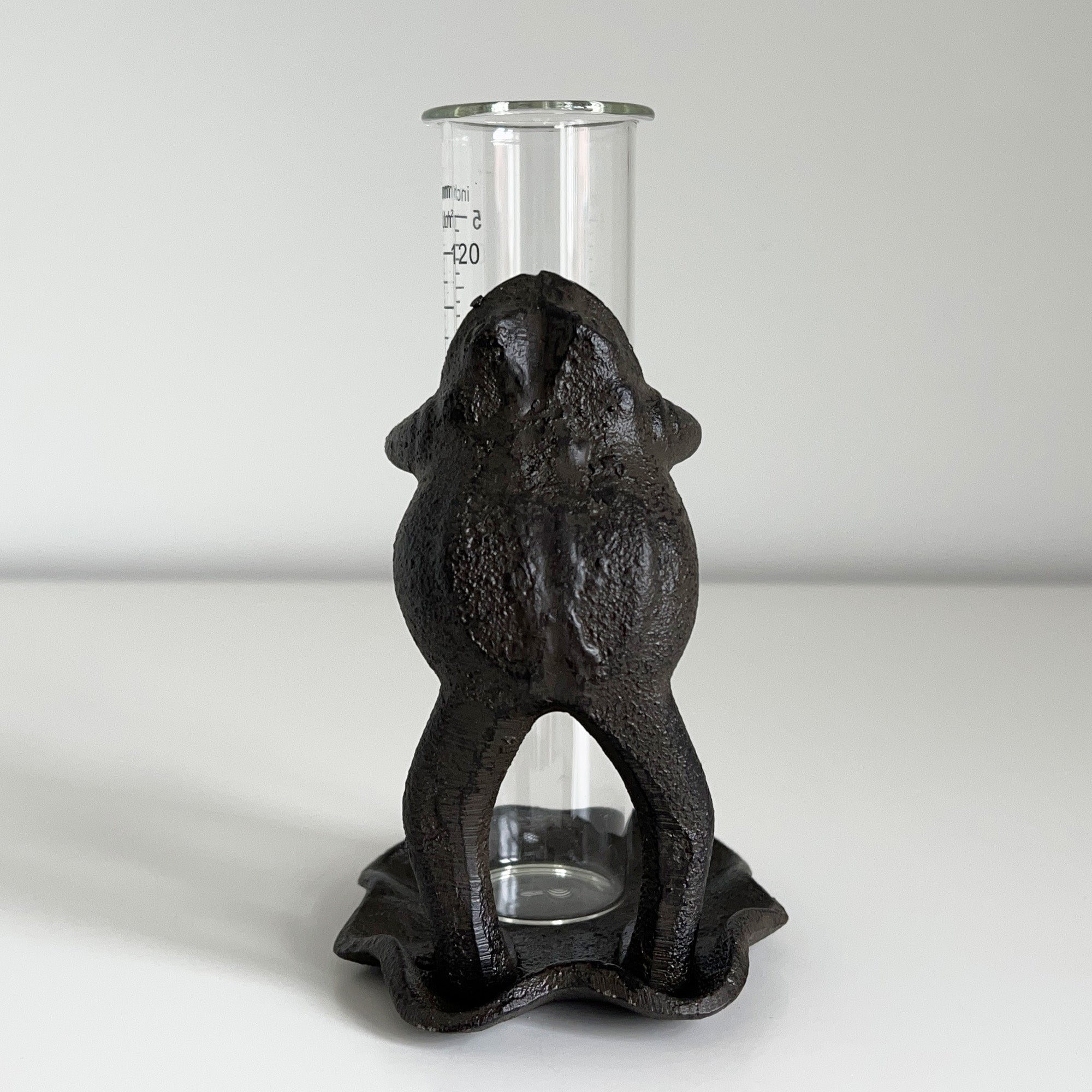 Frog on Lily Pad Rain Gauge - Cast Iron