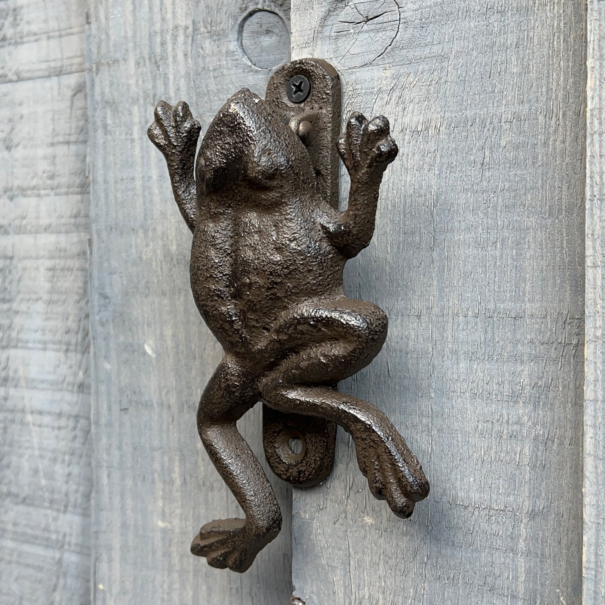 Cast Iron Frog Door Knocker