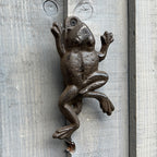 Cast Iron Frog Door Knocker