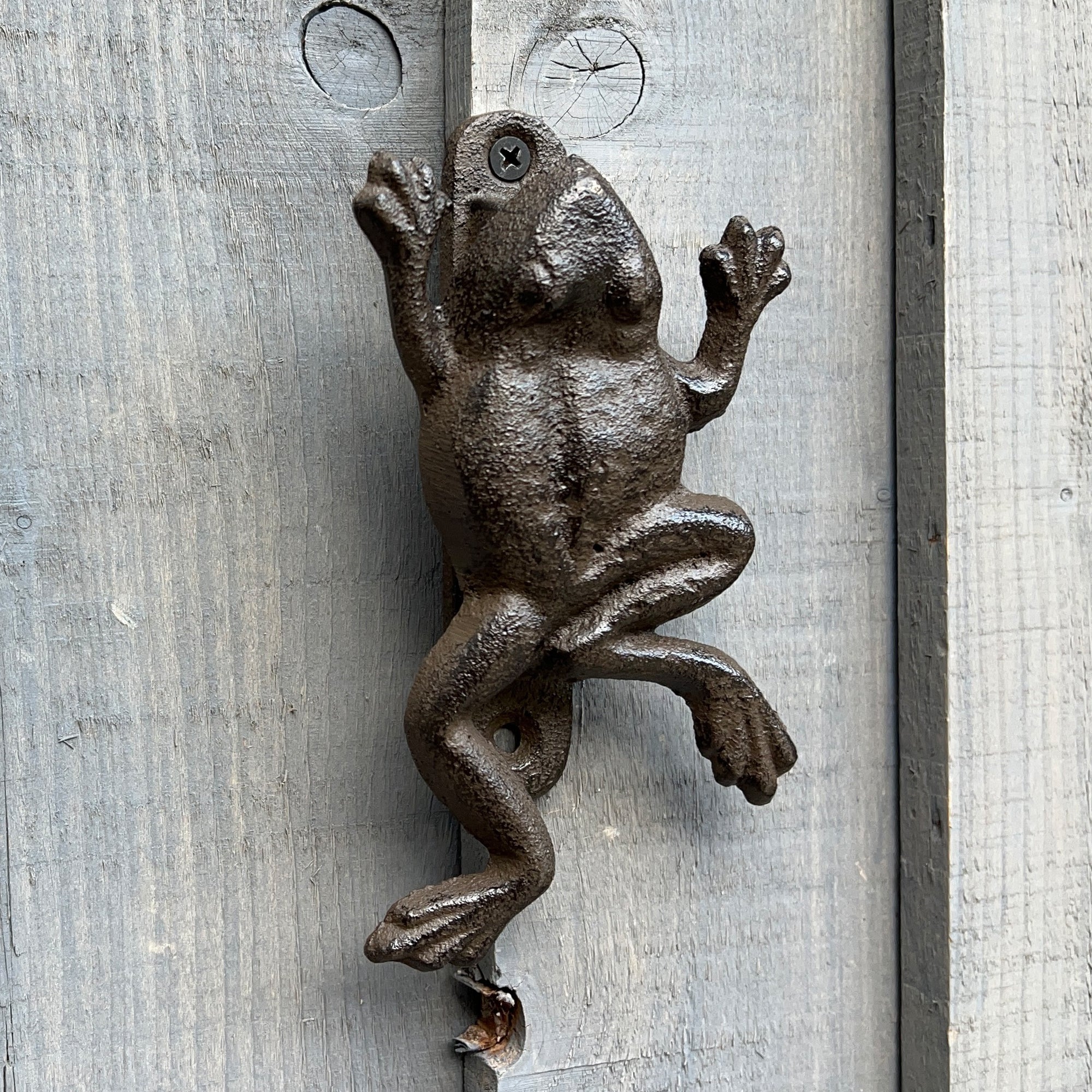 Cast Iron Frog Door Knocker