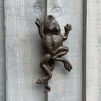 Cast Iron Frog Door Knocker