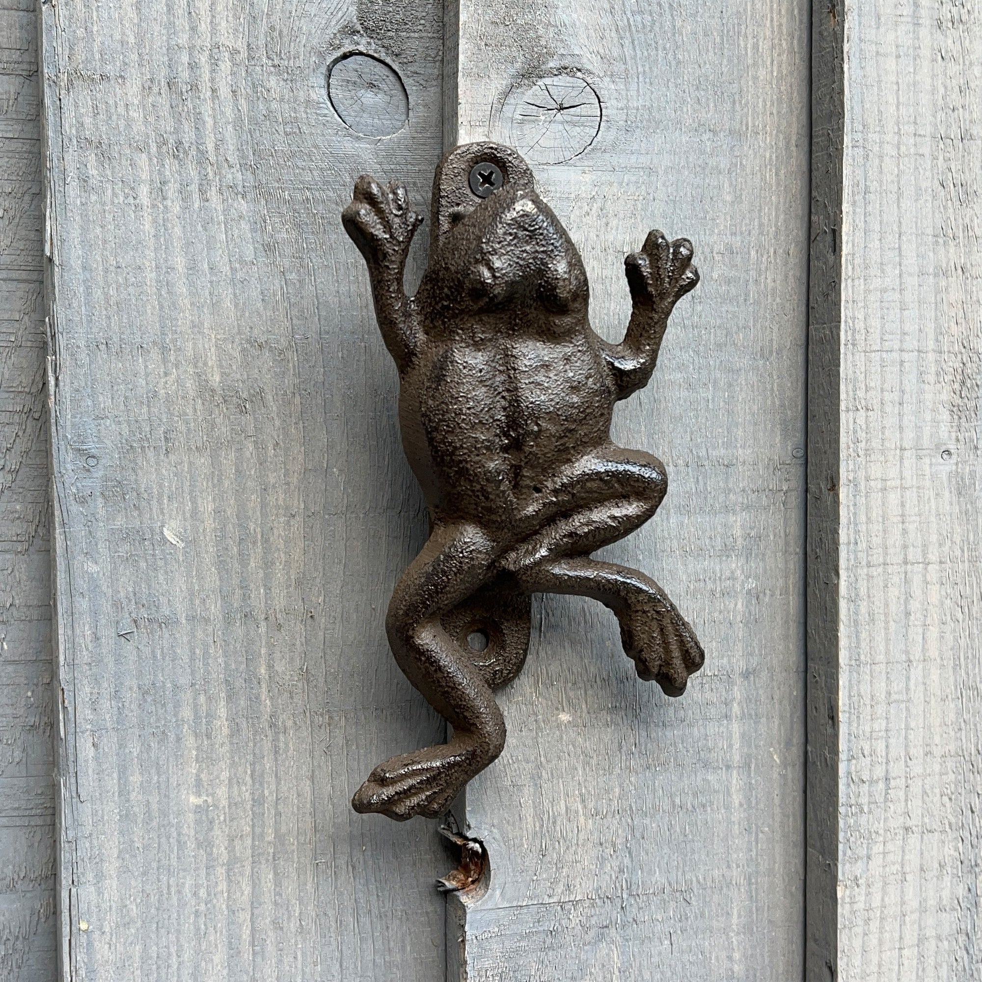 Cast Iron Frog Door Knocker