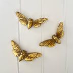 Rustic Wall Mounted Bee Decoration